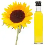 sunflower Oil