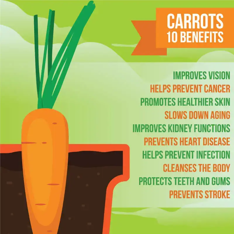 10 Carrot Benefits