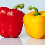 Yellow-Red bell  pepper/capsicum