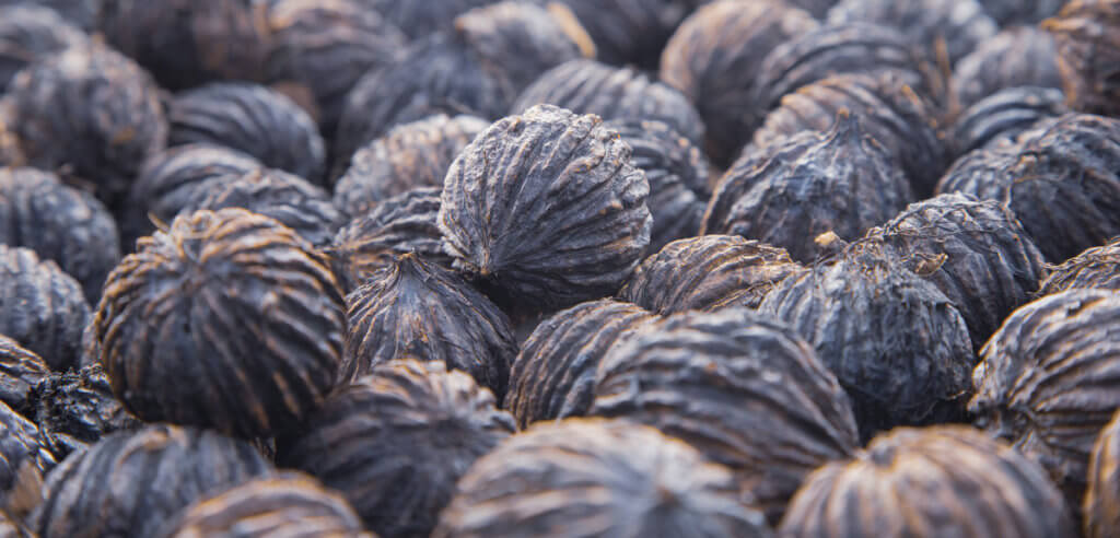 black Walnuts