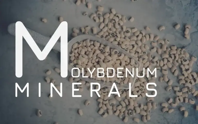 Benefits of molybdenum | Everything You Need to Know