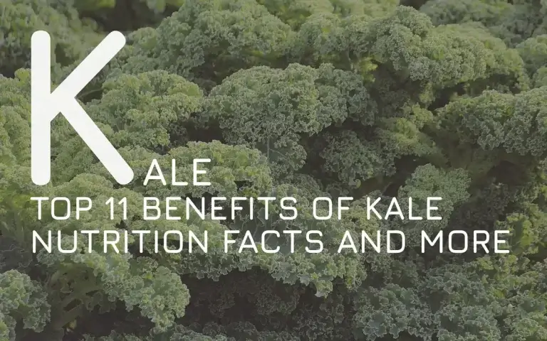 The Top 11 Benefits of Kale: Nutrition Facts and More