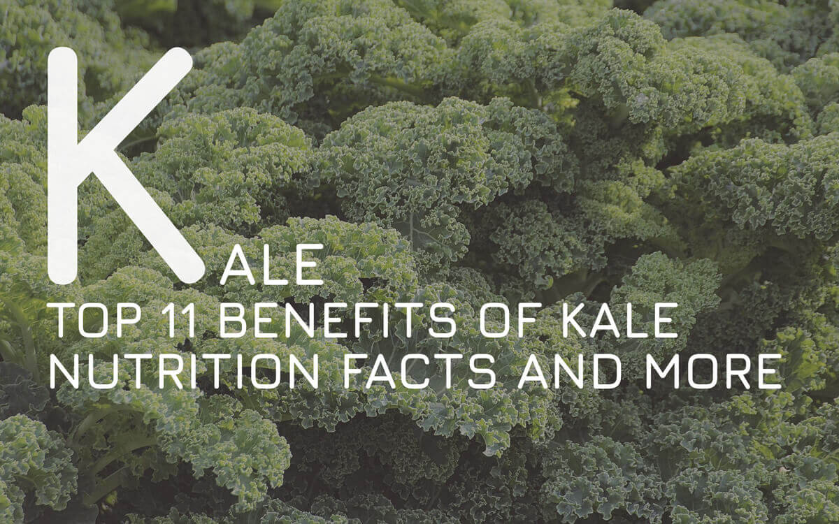 The Top 11 Benefits of Kale Nutrition Facts and More 2024