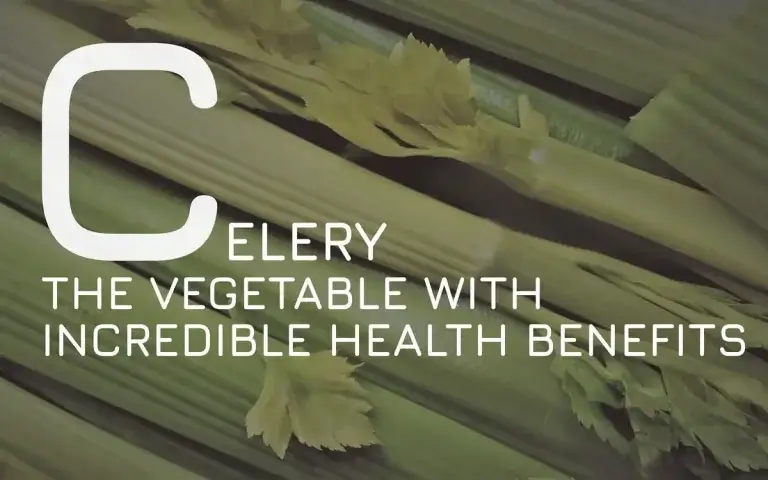 Celery: The Vegetable with Incredible Health Benefits