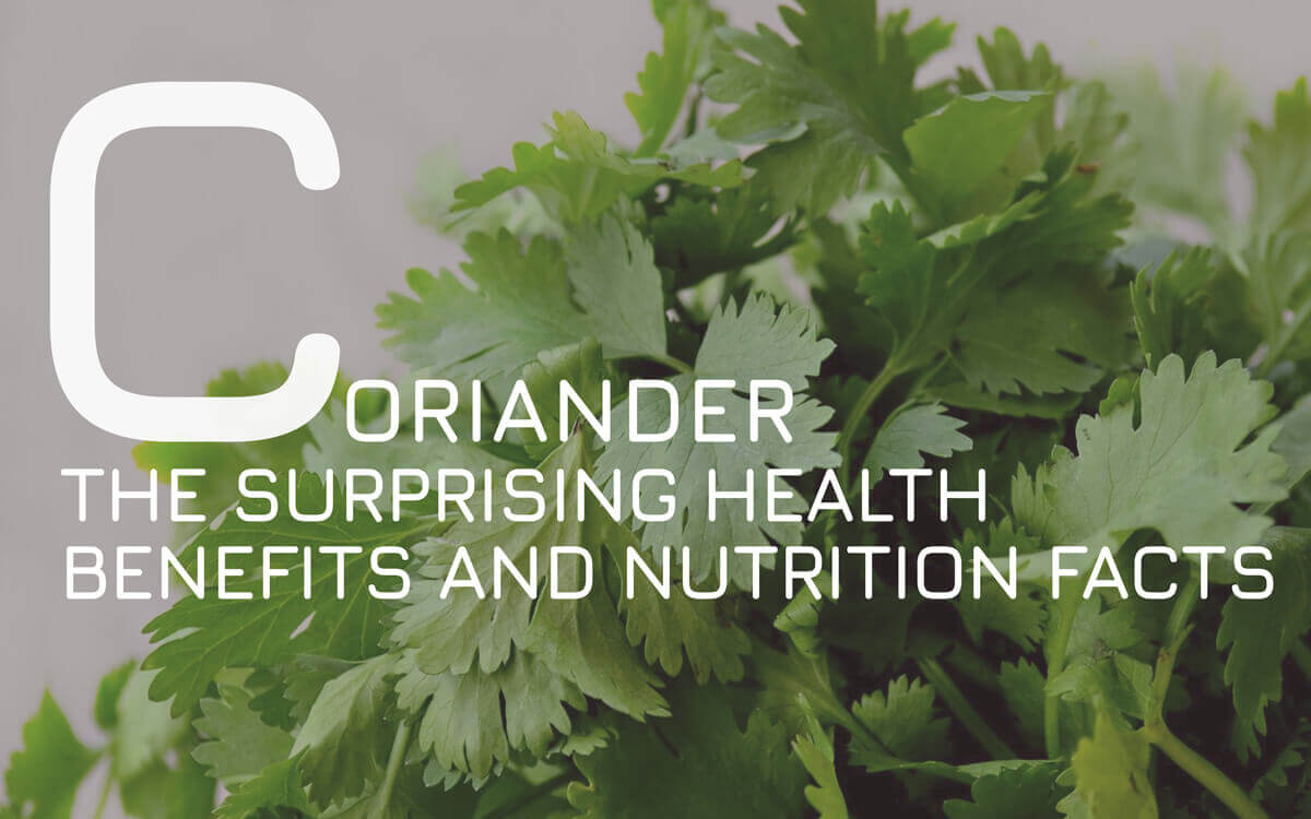 The Surprising Health Benefits of Coriander 2024