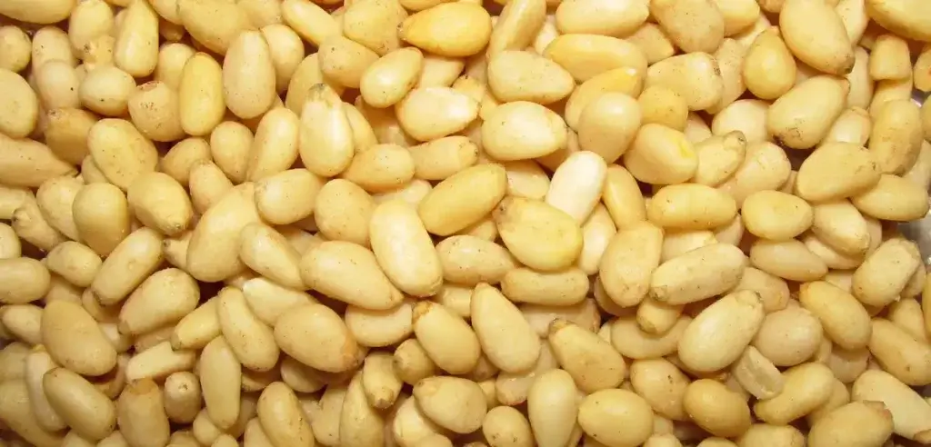 pine nuts