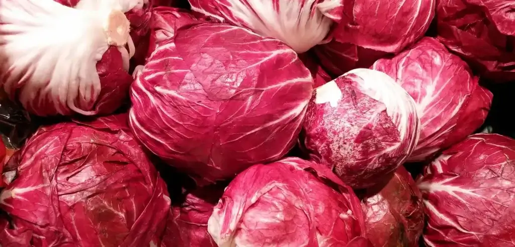 radicchio