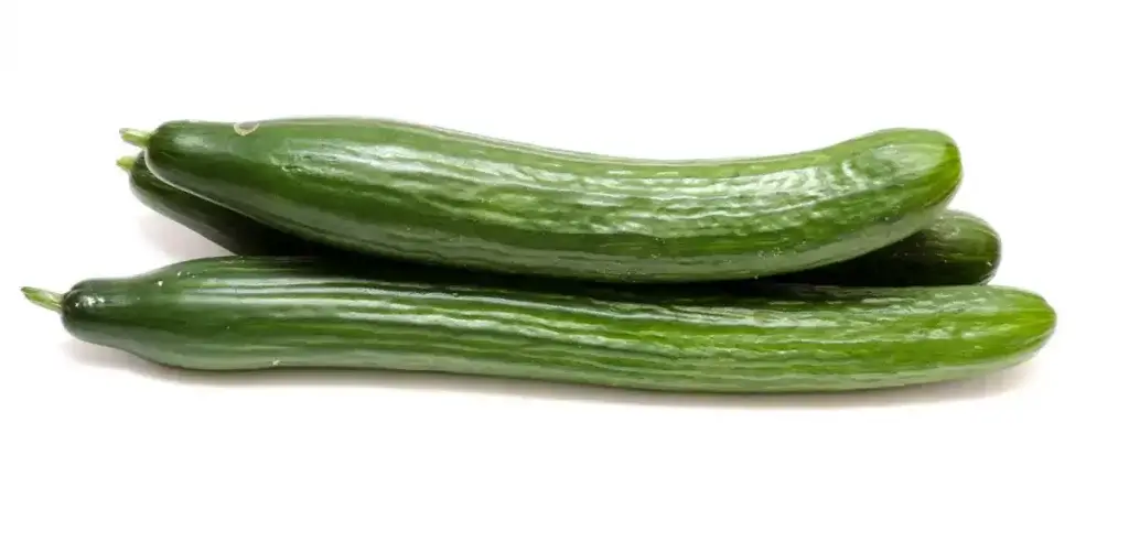 Burpless-cucumbers