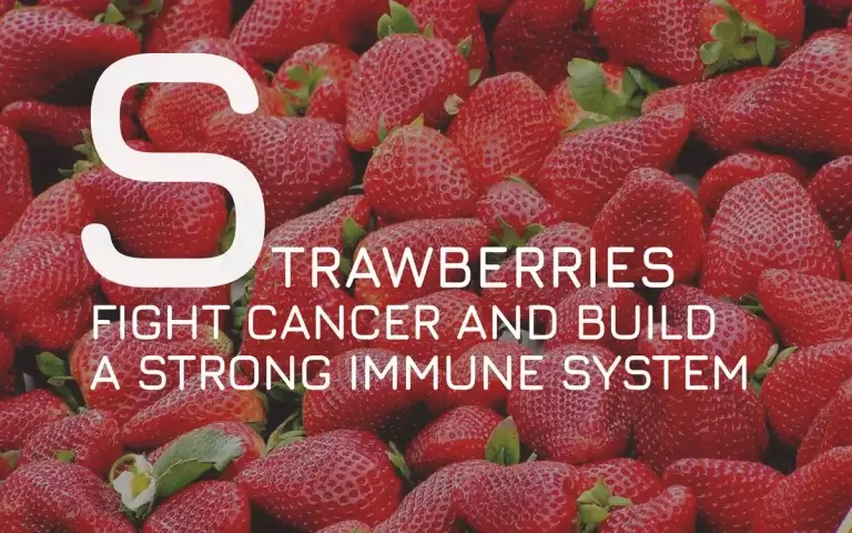 Strawberries: Fight cancer and build a strong immune system