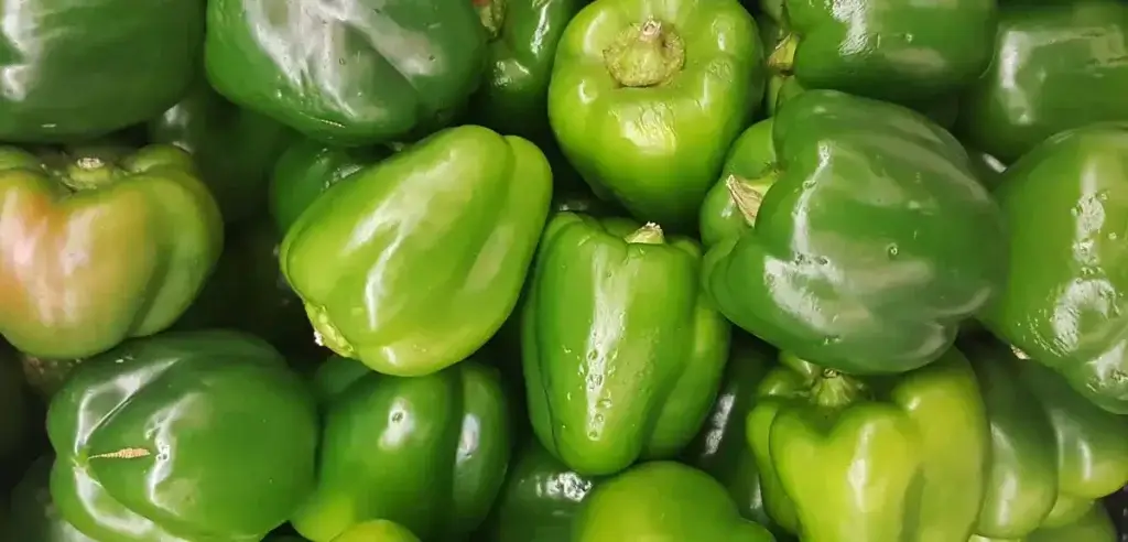 green-bell-peppers