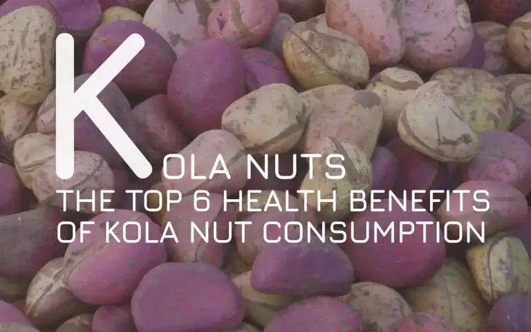 The Top 6 Health Benefits of Kola Nut Consumption