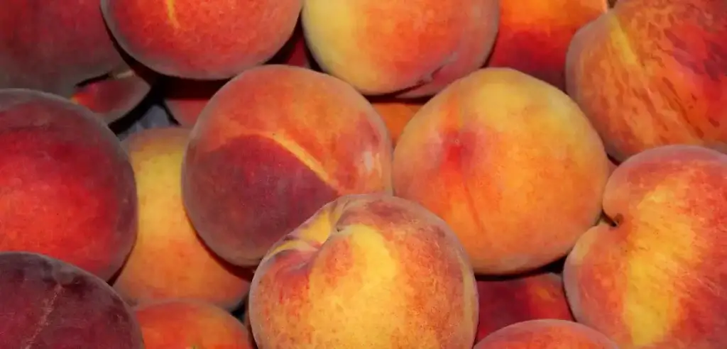 peaches