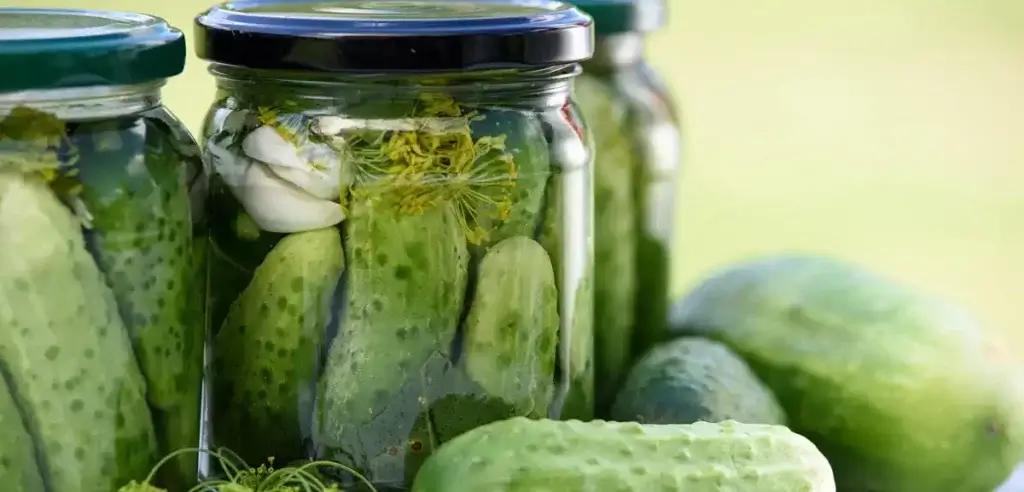 Pickling cucumbers