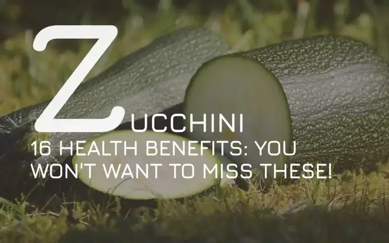 16 Zucchini health benefits: you won’t want to miss these