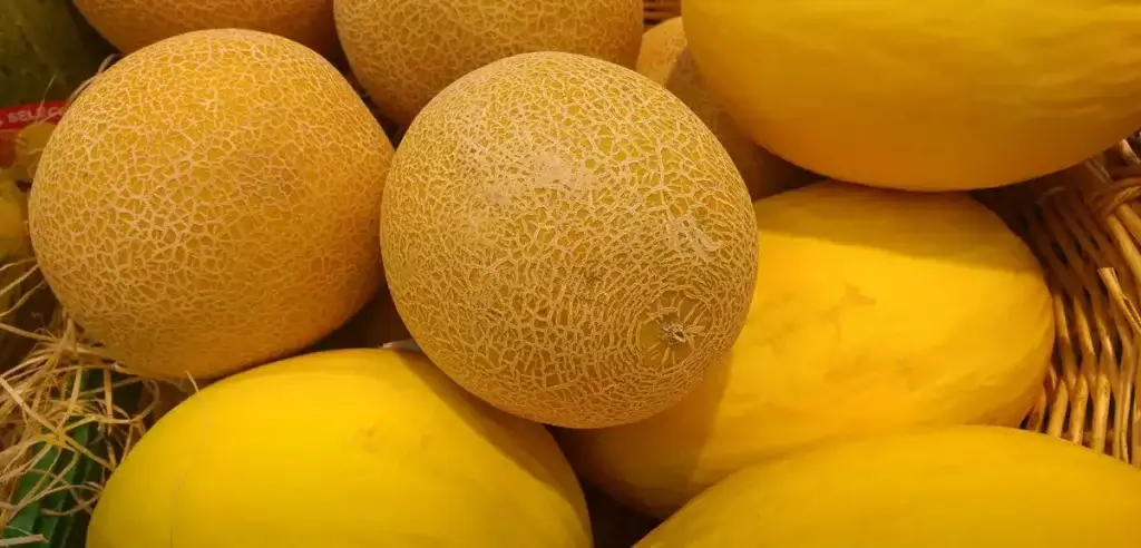 melons