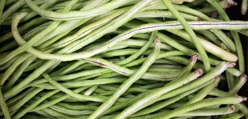 french-beans