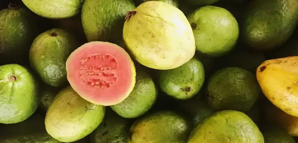 guava