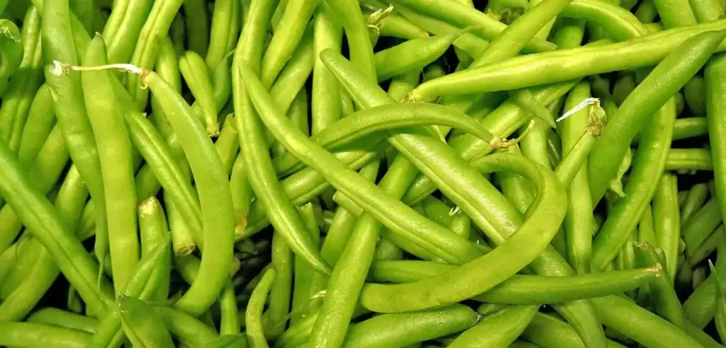 string-beans