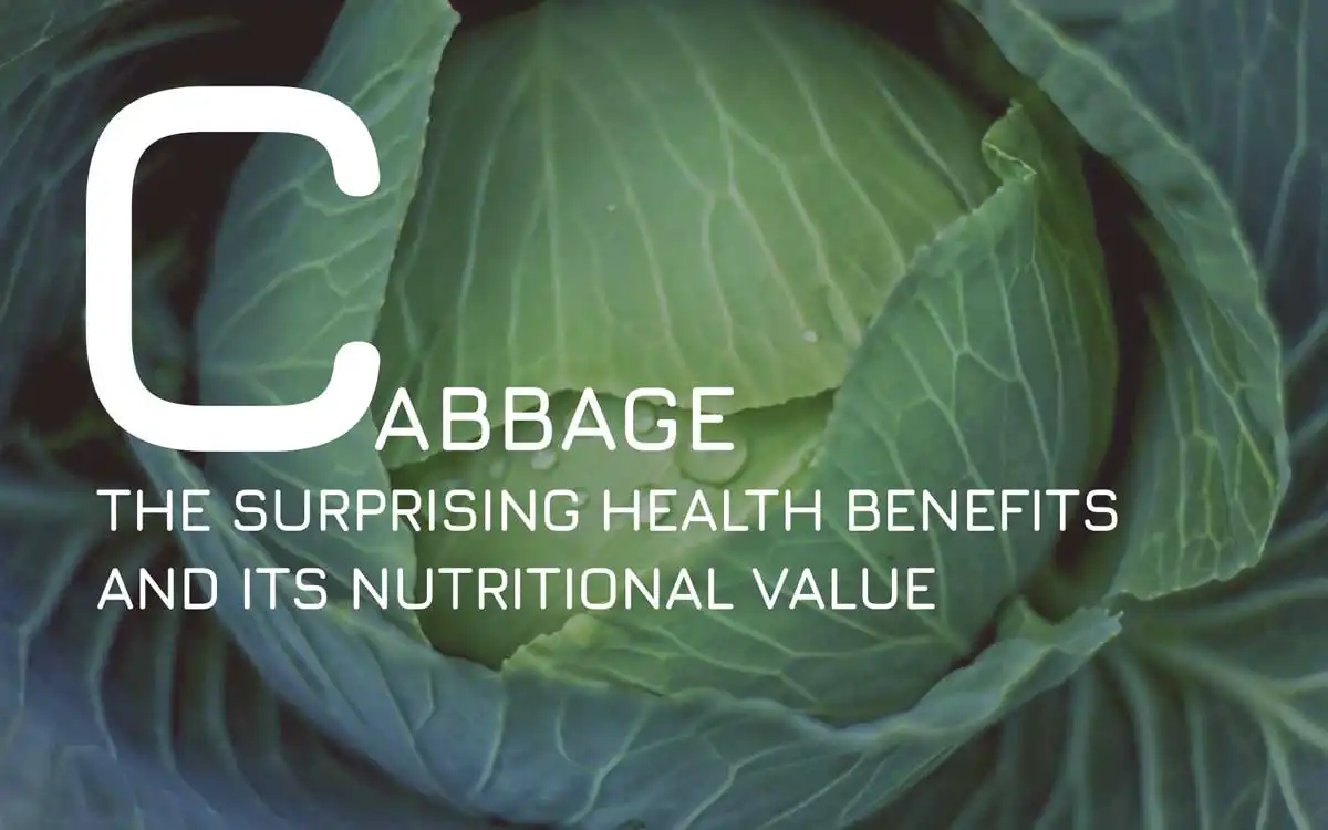 THE SURPRISING HEALTH BENEFITS OF CABBAGE AND ITS NUTRITIONAL VALUE