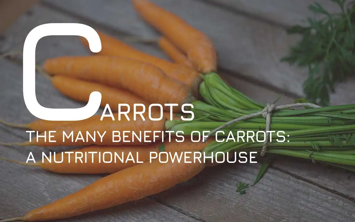 The Many Benefits of Carrots A Nutritional Powerhouse