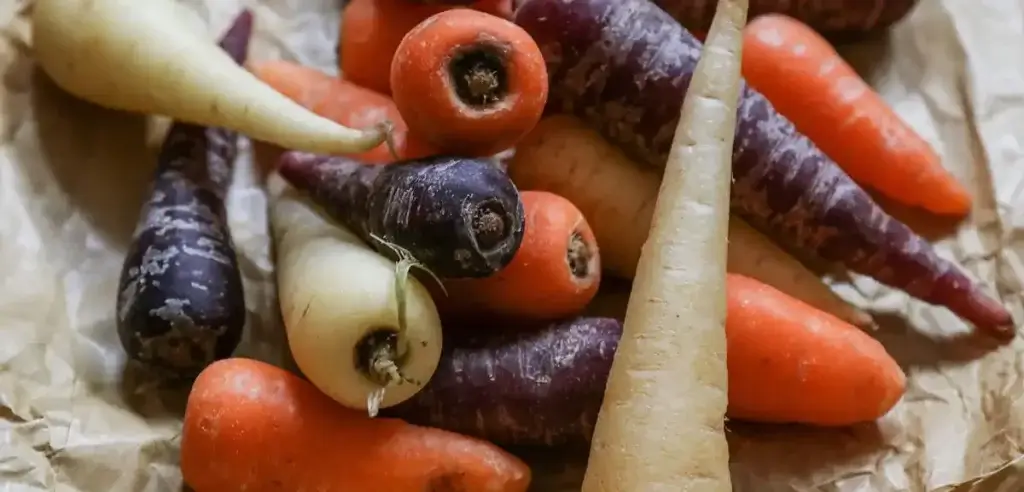 carrot-types
