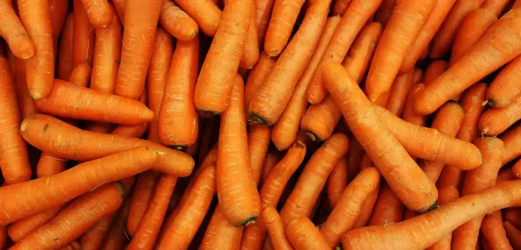 orange-carrots