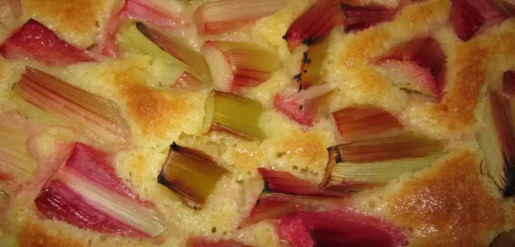 rhubarb pie