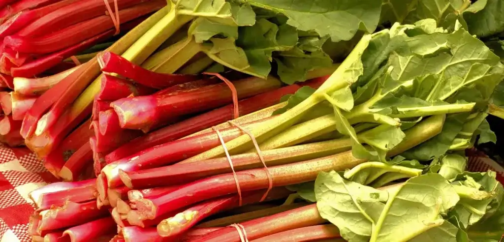 rhubarbs