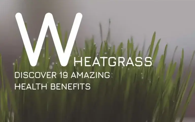Discover 19 Amazing Health Benefits of Wheatgrass