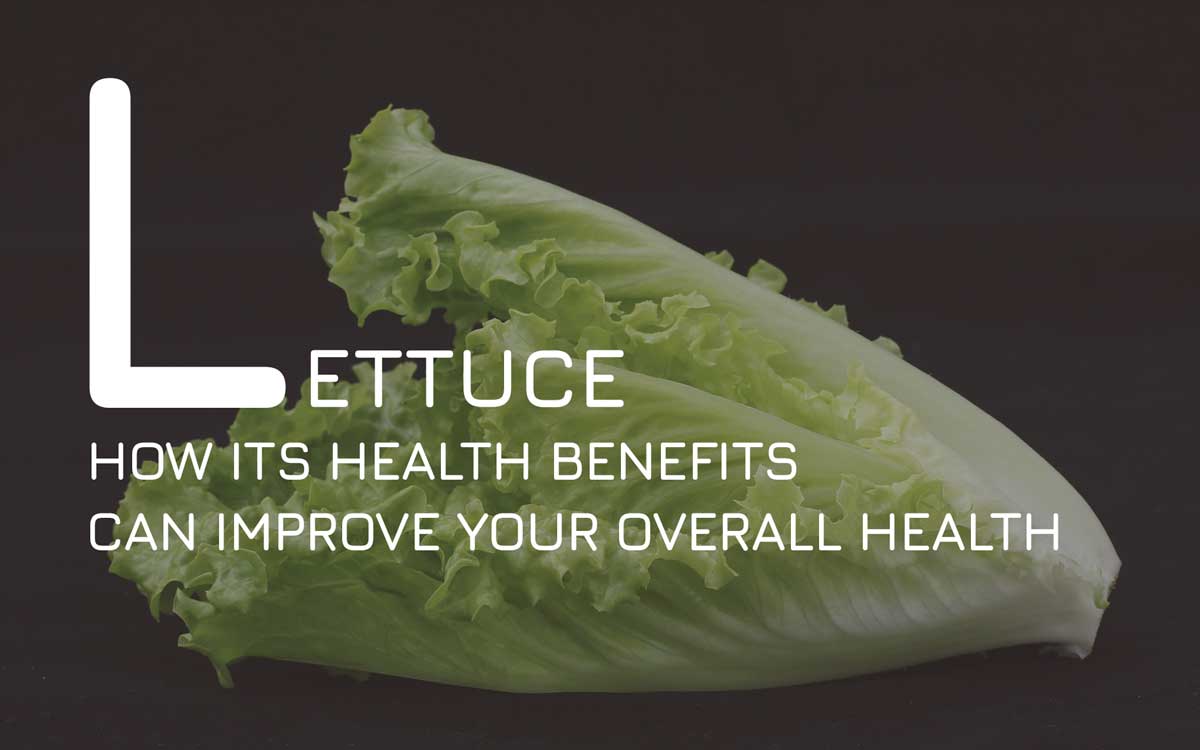 How the health benefits of Lettuce Can Improve Your Overall Health 2024