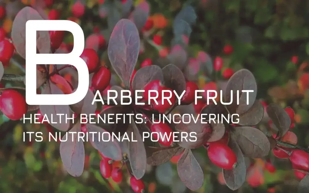 barberry fruit health benefits: Uncovering its nutritional powers