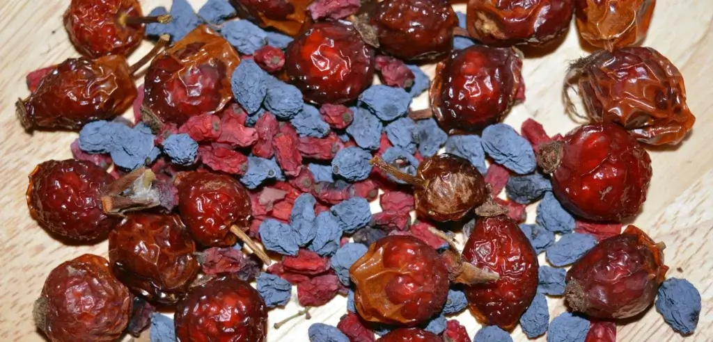 dried-barberries